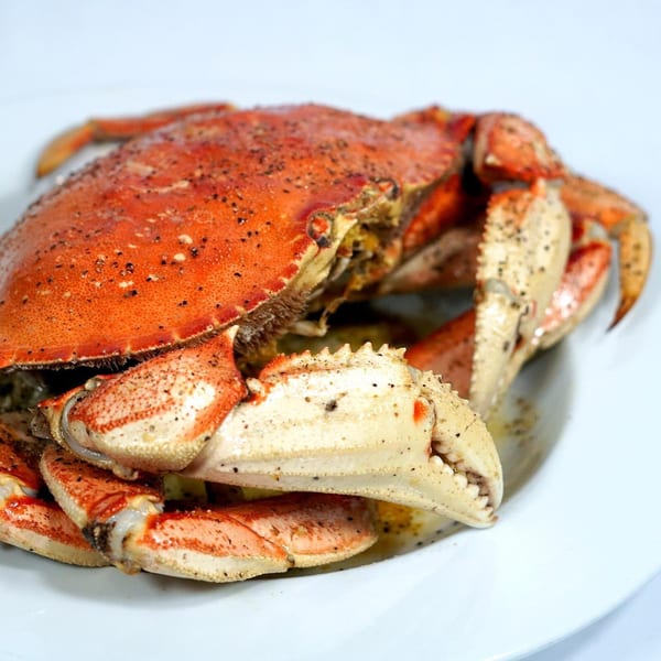 A whole roasted crab, seasoned with pepper, on a white plate at The Roasted Crab.